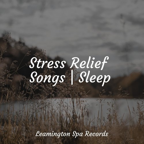 Stress Relief Songs | Sleep