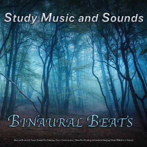 Study Music & Sounds cover art