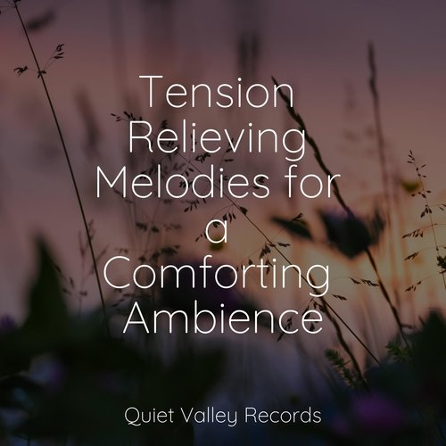 Focused, Relaxed cover art