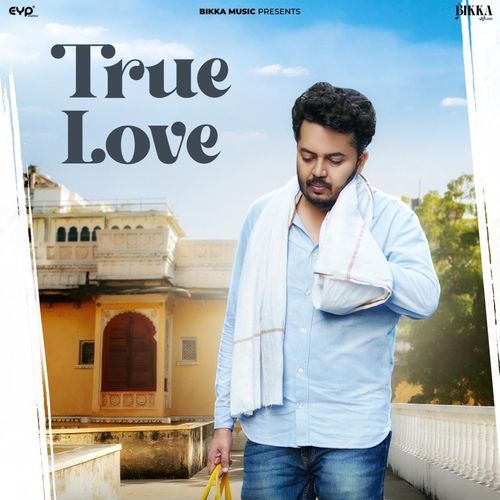 True Love_poster_image