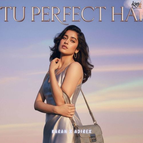 Tu Perfect Hai