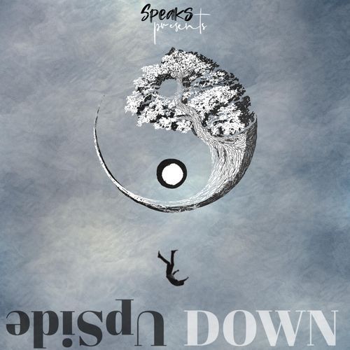 PINNAK STATE cover art