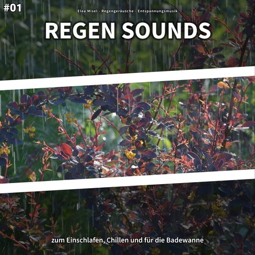 Regen zum Schlafen cover art