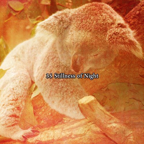 35 Stillness of Night_poster_image