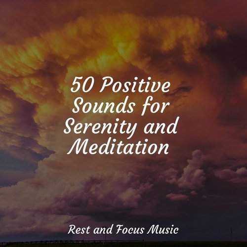 50 Positive Sounds for Serenity and Meditation