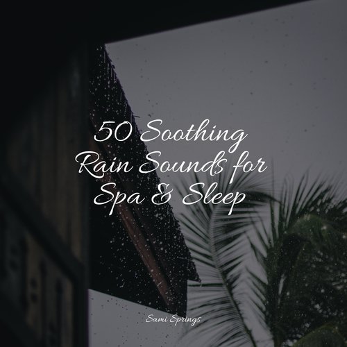 50 Soothing Rain Sounds for Spa & Sleep