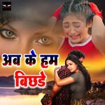 AB Ke Ham Bichhade