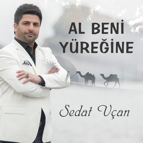 Vuslat cover art