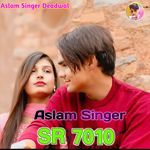 Aslam Singer SR 7010