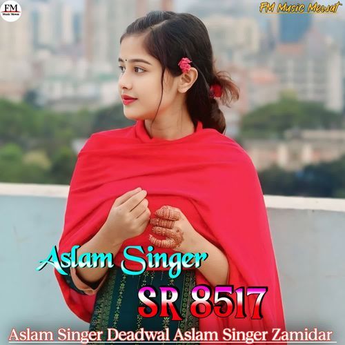 Aslam Singer SR 8517