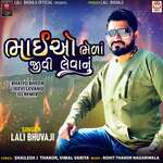 Bhaiyo Bheda Jeevi Levanu-DJ Remix (feat. DJ Dharmesh)