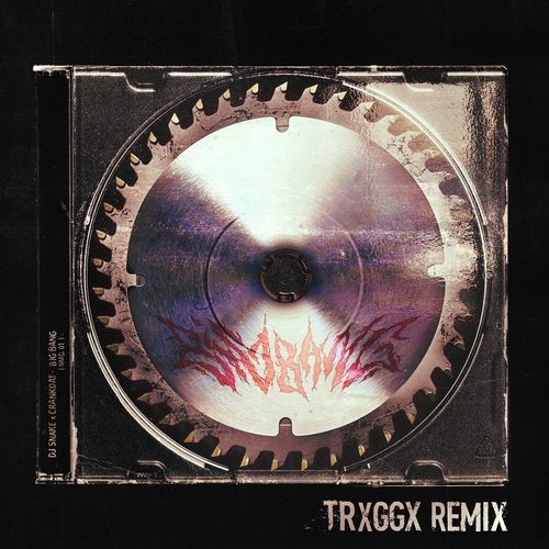 Big Bang (TRXGGX Remix) cover art