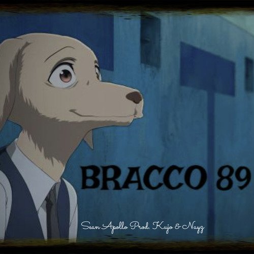 Bracco 89 cover art