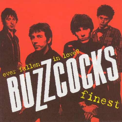 Ever Fallen In Love? Buzzcocks Finest