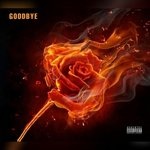 Goodbye