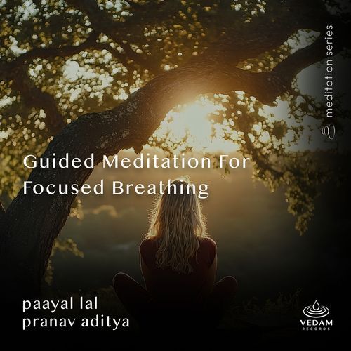 Guided Meditation for Focused Breathing
