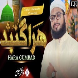 Hara Gumbad Jo Dekho Ge