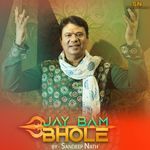 Jay Bam Bhole artwork