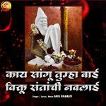 Kay Sangu Tumha Bayi Viktu Santachi Navlayi