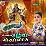 Lili Lili Zhadiyo Ma Morlo Bole Se