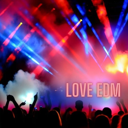 Love EDM_poster_image