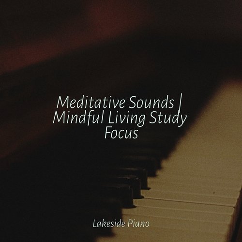 Meditative Sounds | Mindful Living Study Focus