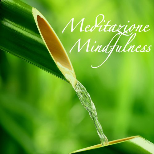 Musica per Meditare cover art