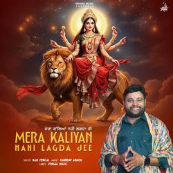 Mera Kaliyan Nahi Lagda Jee