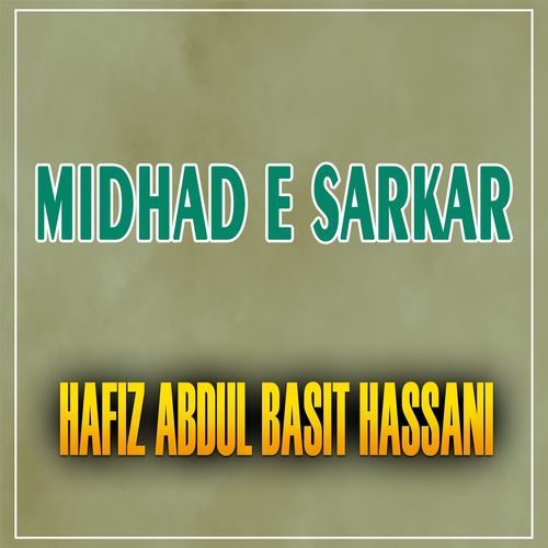 Midhad E Sarkar