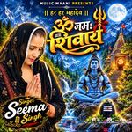 Om Namah Shivay