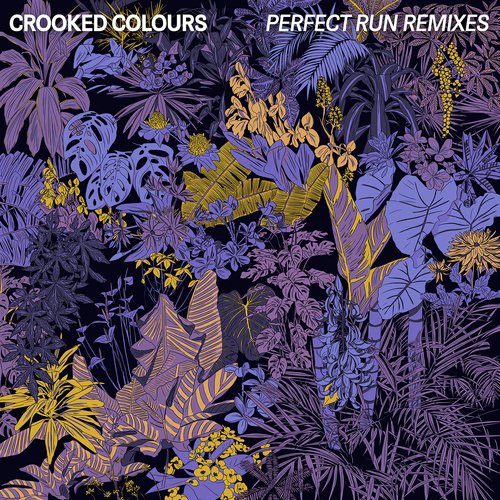 Perfect Run (Remixes)_poster_image