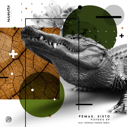 Piste016 (Rodrigo Ferrari Remix) cover art