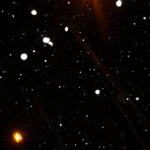 Regular Dimentia cover art