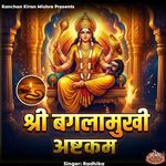 Shri Baglamukhi Ashtakam