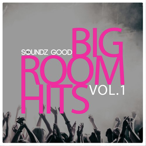 Soundz Good Big Room Hits Vol.1