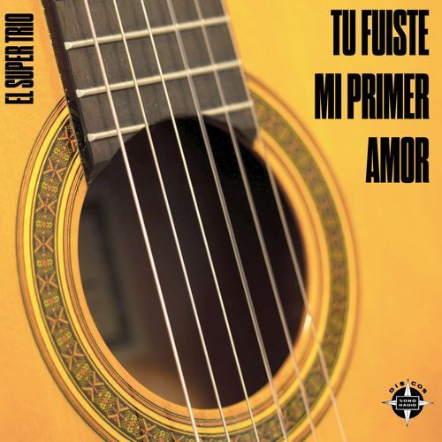 Tu Fuiste mi Primer Amor