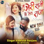 Tu Meri Rani Me Tera Raja artwork