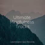 Ultimate Relaxation