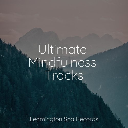 Ultimate Mindfulness Tracks