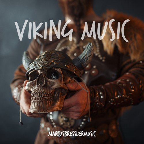 Viking Raid cover art