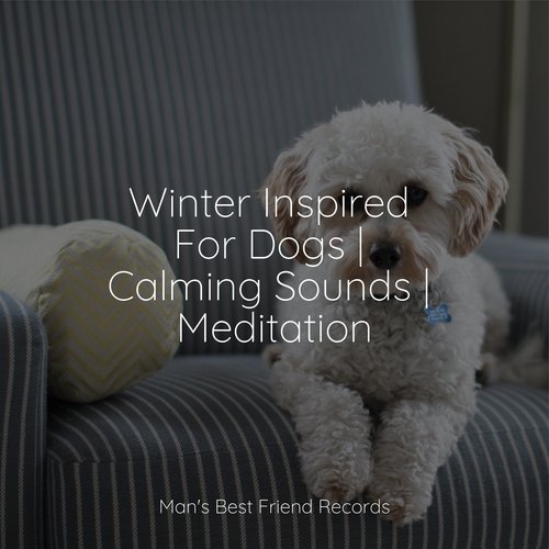 Meditating Music cover art