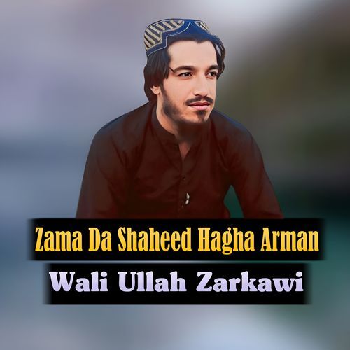 Zama Da Shaheed Hagha Arman