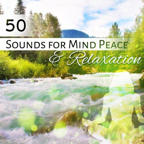 50 Sounds for Mind Peace & Relaxation: Deep Sleep, Meditation, Nature Sounds for Rest