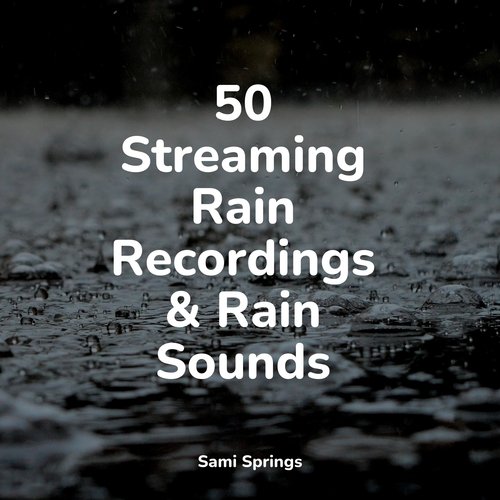 Rain, Storm and Thunder cover art