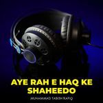 Aye Rah e Haq Ke Shaheedo