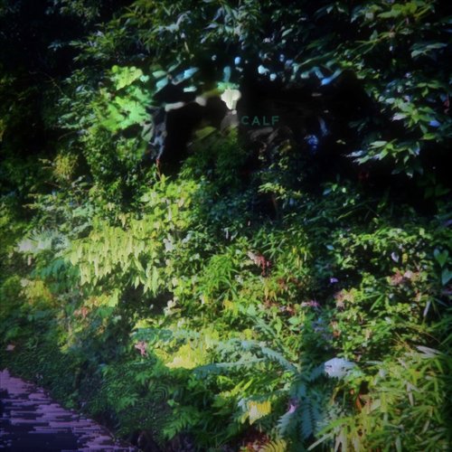 Zito cover art