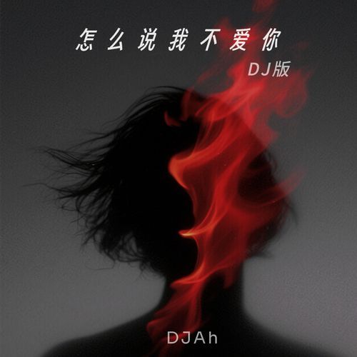怎么说我不爱你 (DJ热播版)