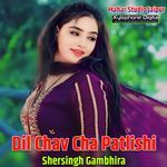 Dil Chav Cha Patlishi