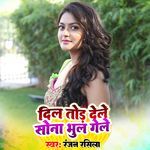 Dila Tod Dele Sona Bhul Gele