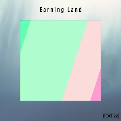 Dj Bird (Radio Vrs.) cover art
